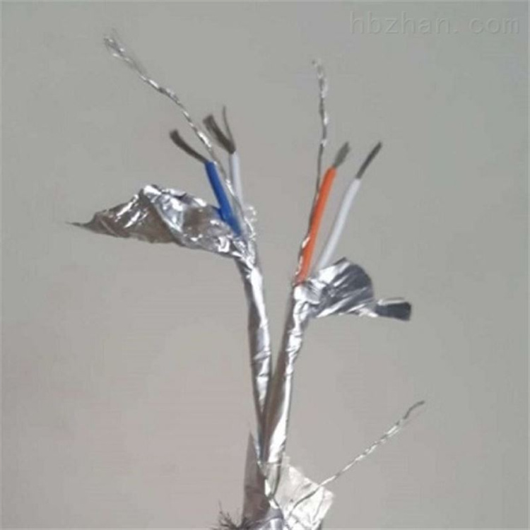 485电缆 RS485电缆