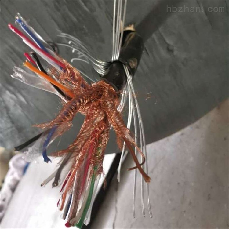 钢丝铠装计算机电缆DJYVP32、DJYPVP32